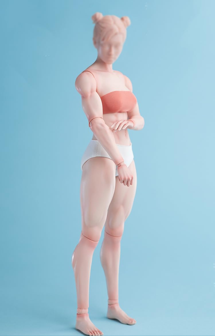 1/6 アクションフィギュア ボディ Amazon.co.jp: 1/6スケール 女性 Muscler アクションフィギュア ボディ